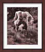 Framed Beach Horses II