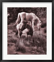 Framed Beach Horses II