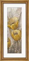 Framed Ochre Tulips I
