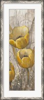 Framed Ochre Tulips I