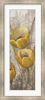 Framed Ochre Tulips I