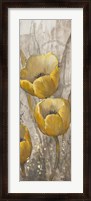 Framed Ochre Tulips I