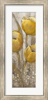 Framed Ochre Tulips II