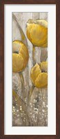 Framed Ochre Tulips II