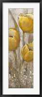 Ochre Tulips II Framed Print