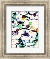 Framed Bubble Abstract II