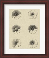 Framed Floral Rosette I