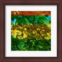 Framed Abstract Leaf Study I