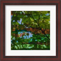 Framed Abstract Leaf Study IV