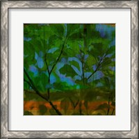 Framed Abstract Leaf Study V