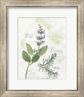 Framed Rosemary & Sage