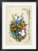 Framed Victorian Butterfly Garden I