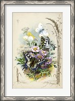 Framed Victorian Butterfly Garden V
