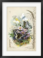 Framed Victorian Butterfly Garden V