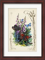 Framed Victorian Butterfly Garden VI