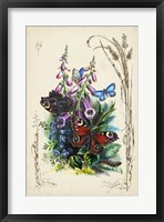 Framed Victorian Butterfly Garden VI