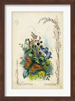Framed Victorian Butterfly Garden VII