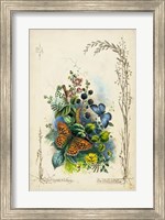 Framed Victorian Butterfly Garden VII