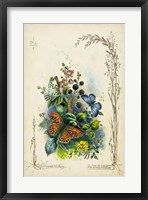 Framed Victorian Butterfly Garden VII