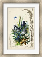 Framed Victorian Butterfly Garden VIII