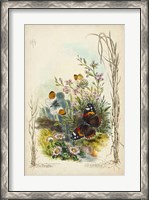 Framed Victorian Butterfly Garden IX