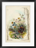 Framed Victorian Butterfly Garden IX