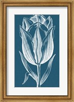 Framed Chromatic Tulips I