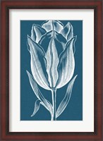Framed Chromatic Tulips I