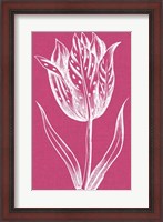 Framed Chromatic Tulips V
