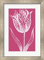 Framed Chromatic Tulips V