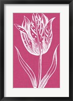 Framed Chromatic Tulips V