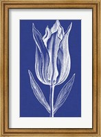 Framed Chromatic Tulips VII