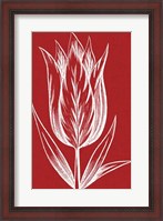 Framed Chromatic Tulips VIII