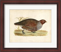 Framed Morris Pheasants I