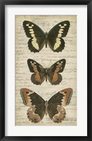 Butterfly Script I Framed Print