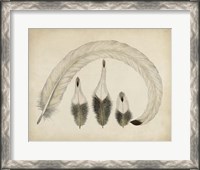 Framed Vintage Feathers IV