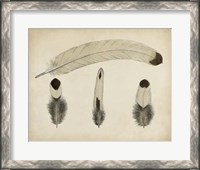 Framed Vintage Feathers V