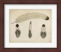 Framed Vintage Feathers V