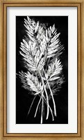 Framed Palm Leaf Fresco II