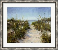 Framed Seagrass and Sand