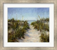 Framed Seagrass and Sand