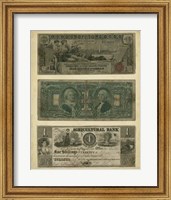 Framed Antique Currency V