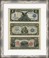 Framed Antique Currency VI