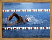 Framed US Navy Swimmer