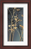 Framed Twilight Botanicals II