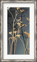 Framed Twilight Botanicals II