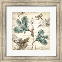 Framed Blooming Teal I