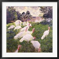 Framed Turkeys at the Chateau de Rottembourg, Montgeron, 1877