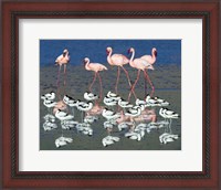 Framed Avocets and flamingos standing in water, Ngorongoro Crater, Ngorongoro Conservation Area, Tanzania