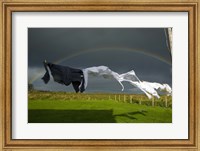 Framed Rainbow, Stormy Sky and Clothes Line, Bunmahon, County Waterford, Ireland